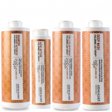 Pack Hyaluronic Liss Therapy (Champ� Prepare 1 LItro + Acid Active 300 ml. + Cellular Finish 1 Litro + Deep Mask 1 Litro)